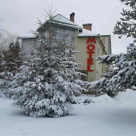 Karpaty Viking Motel Nizhneye Sinevidnoye Bagian luar foto