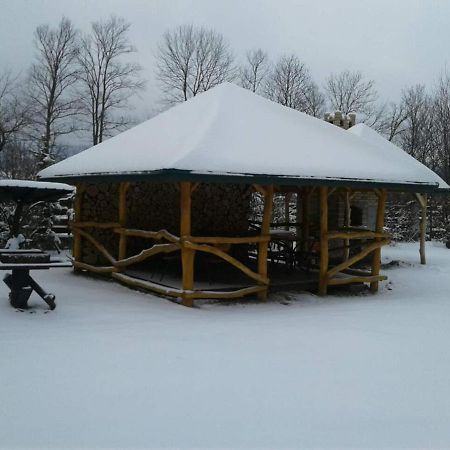 Karpaty Viking Motel Nizhneye Sinevidnoye Bagian luar foto