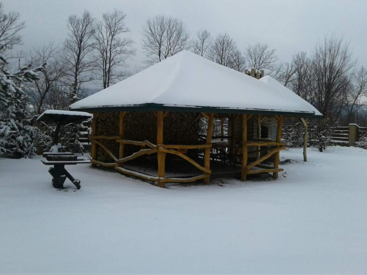 Karpaty Viking Motel Nizhneye Sinevidnoye Bagian luar foto