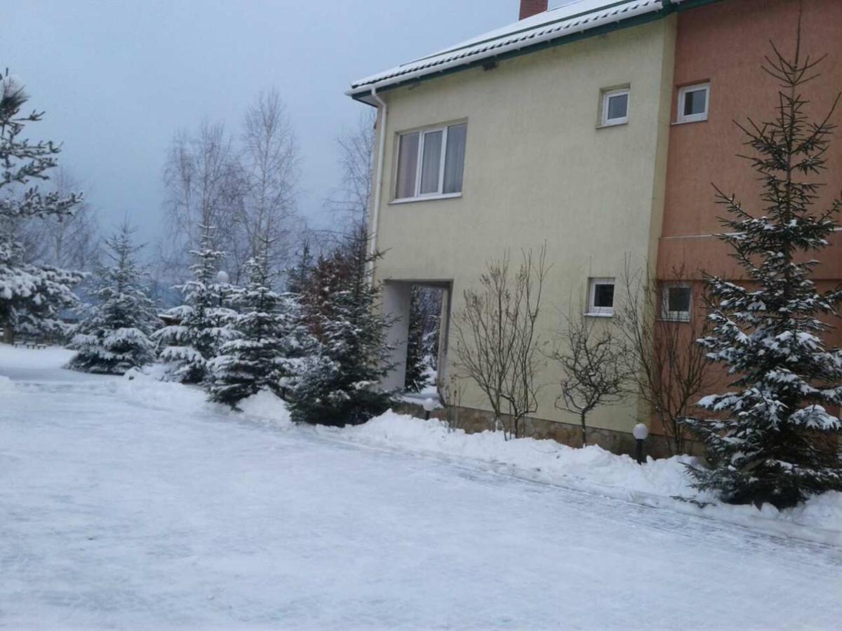 Karpaty Viking Motel Nizhneye Sinevidnoye Bagian luar foto